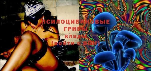 Альфа ПВП Аркадак