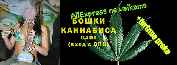 Альфа ПВП Аркадак