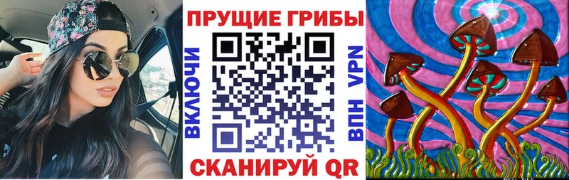 Галлюциногенные грибы GOLDEN TEACHER  Бабаево 