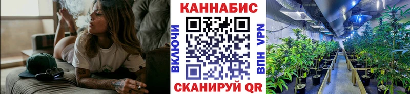 Каннабис планчик  Бабаево 